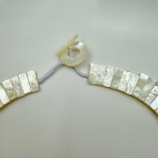 Close-up of mother of pearl segment details