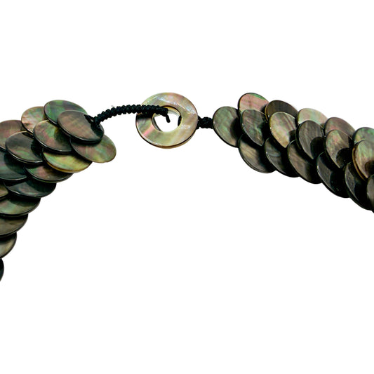 Close-up of abalone shell disc details
