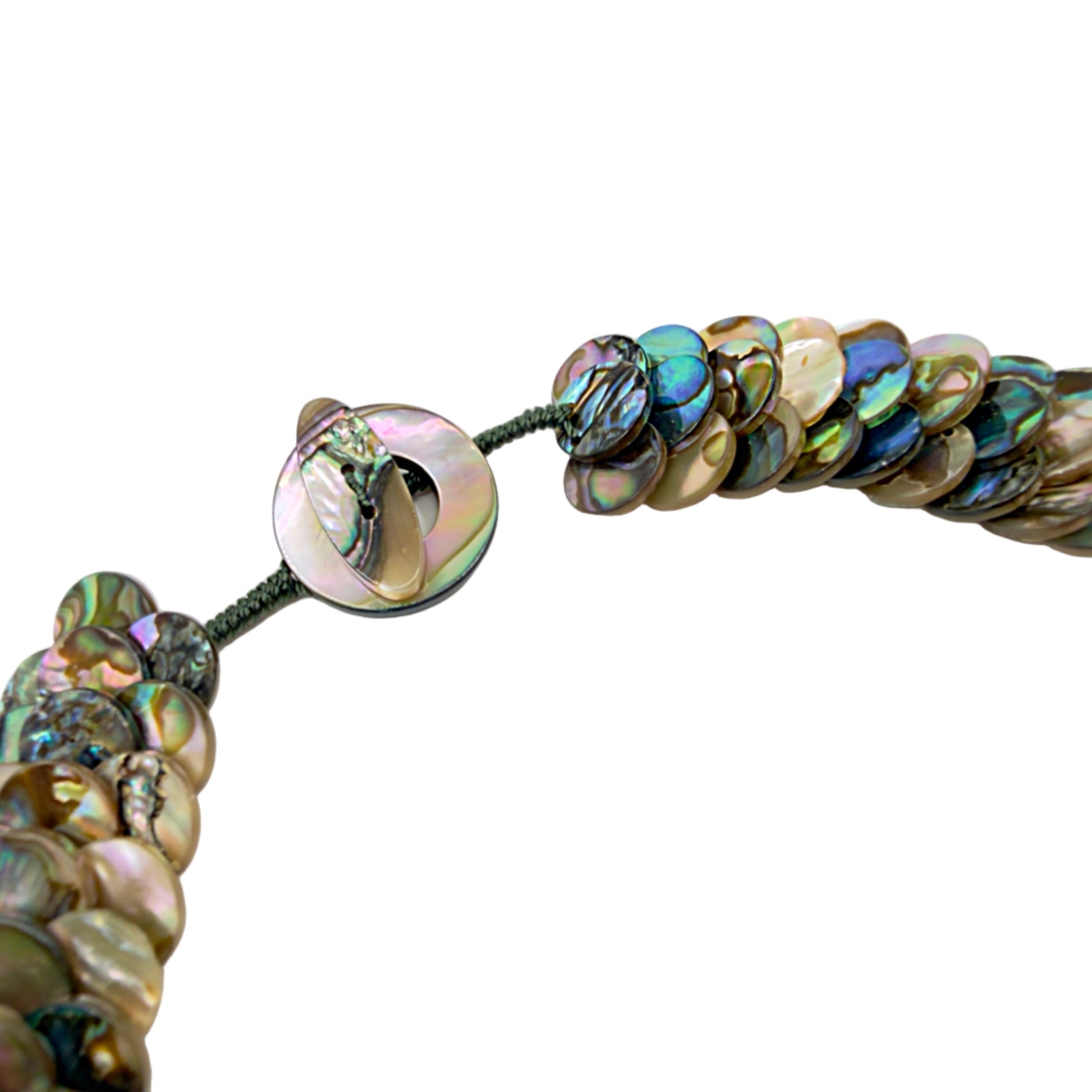 Close-up of abalone shell disc details