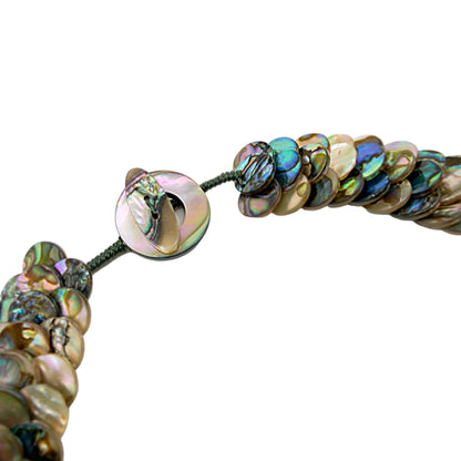 Close-up of abalone shell disc details